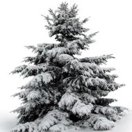 Weihnachtsmarkt Gilten Schwarmstedt Hannover Celle